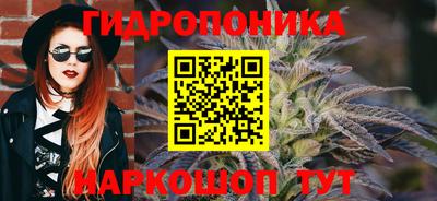 прущие грибы Будённовск